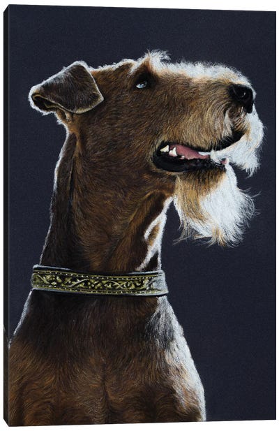 Airedale Terrier Canvas Art Print