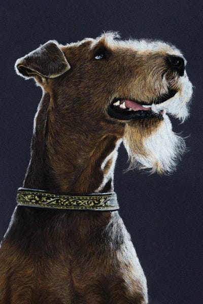 Airedale Terriers: Airedale Terrier by Mikhail Vedernikov