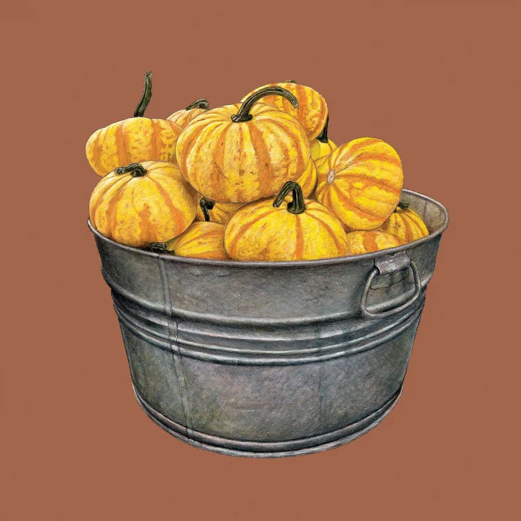 A Basin With Pumpkins