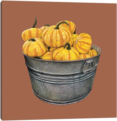 A Basin With Pumpkins Canvas Art Print - Pumpkins