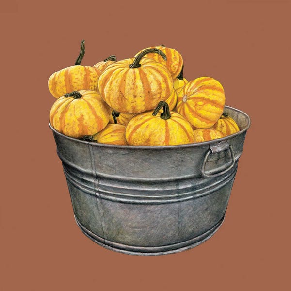 Pumpkins: A Basin With Pumpkins by Mikhail Vedernikov