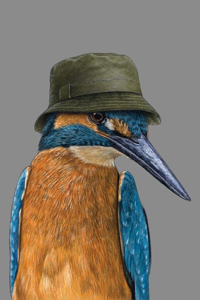 Common Kingfisher II by Mikhail Vedernikov canvas print