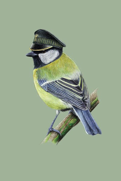 Great Tit III by Mikhail Vedernikov framed wall art