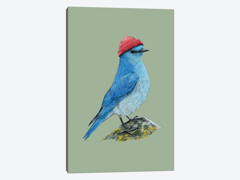 Mountain Bluebird by Mikhail Vedernikov 1-piece Canvas Art Print