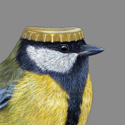 Great Tit V by Mikhail Vedernikov framed wall art