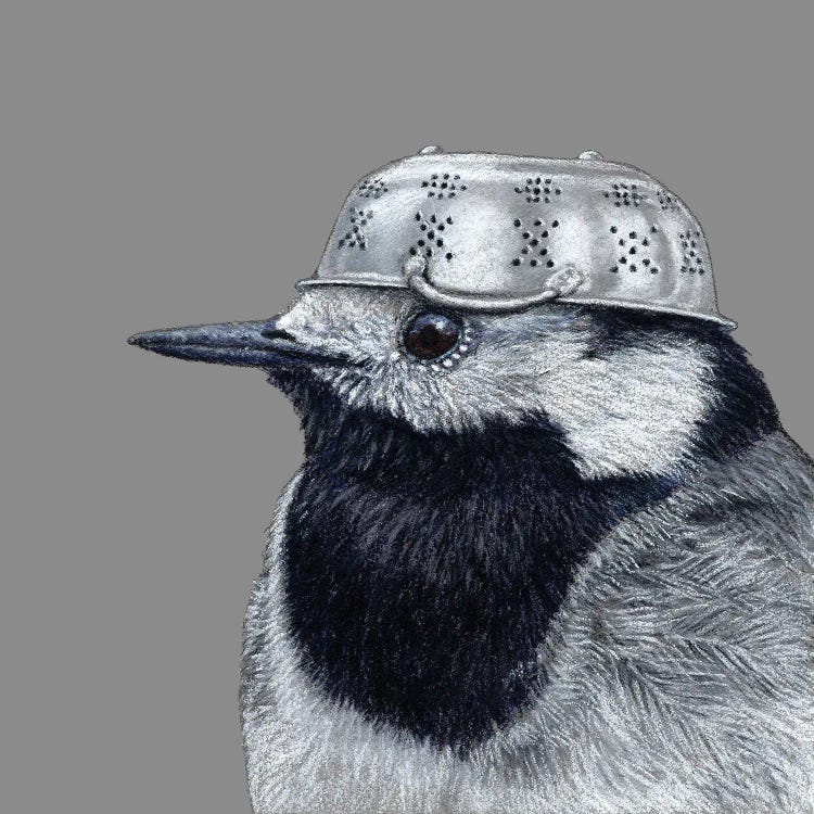 White Wagtail IV by Mikhail Vedernikov wall art