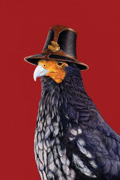 Office Humor: Carunculated Caracara by Mikhail Vedernikov