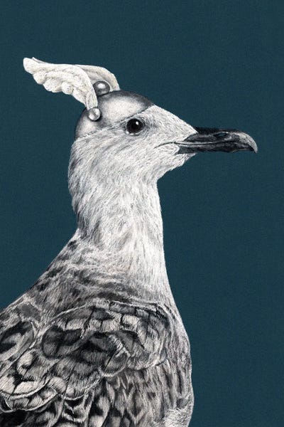 Office Humor: Lesser Black-Backed by Mikhail Vedernikov