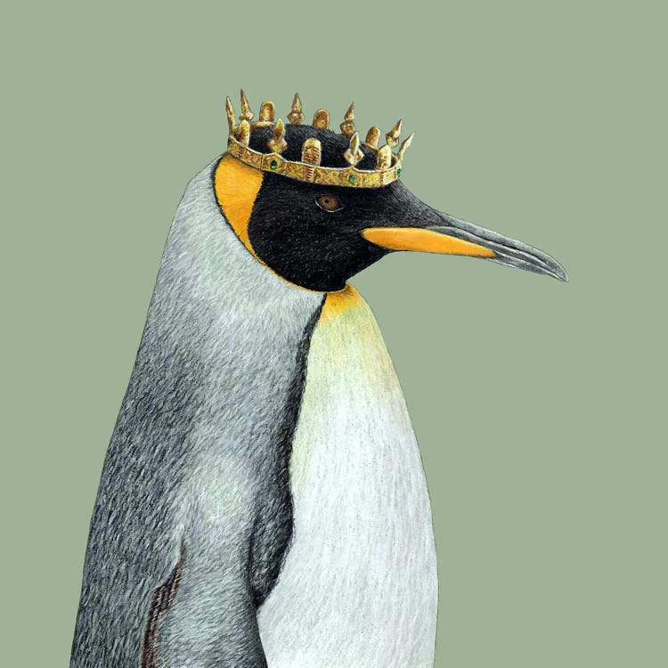 King Penguin by Mikhail Vedernikov wall art