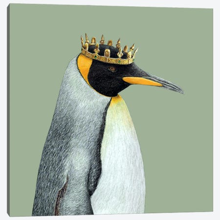 King Penguin Canvas Print #MIV224} by Mikhail Vedernikov Canvas Art