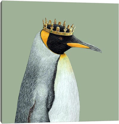 King Penguin Canvas Art Print - Green Art