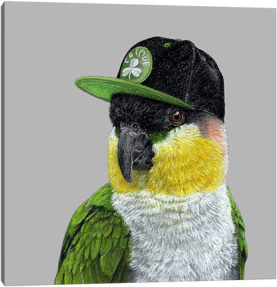 Black-Headed Parrot Canvas Art Print - Parrot Art