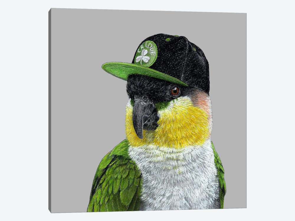 Black-Headed Parrot by Mikhail Vedernikov 1-piece Canvas Wall Art