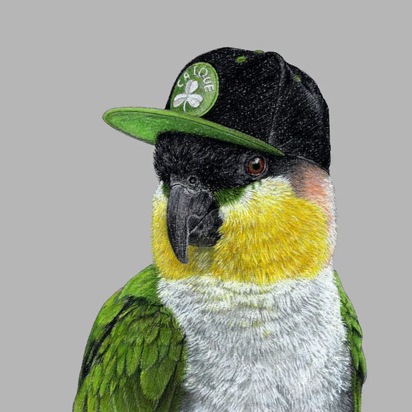 Parrots: Black-Headed Parrot by Mikhail Vedernikov