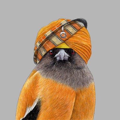 Rufous Treepie II by Mikhail Vedernikov framed wall art