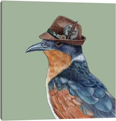Chestnut-Winged Cuckoo Canvas Art Print - Green Art