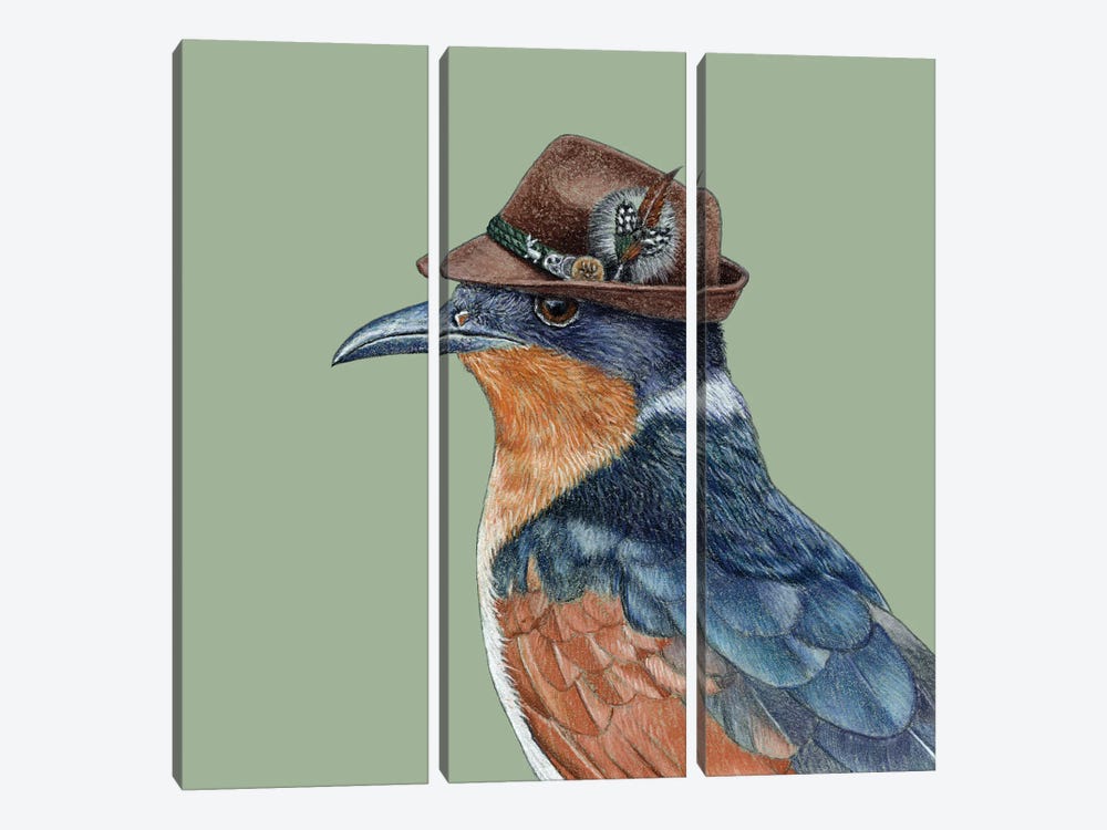 Chestnut-Winged Cuckoo by Mikhail Vedernikov 3-piece Canvas Print