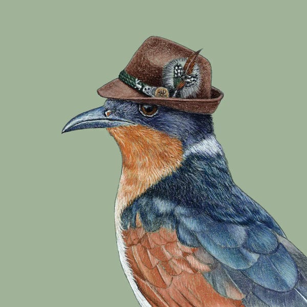 Hats: Chestnut-Winged Cuckoo by Mikhail Vedernikov