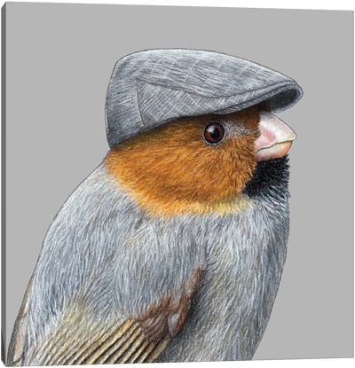 Short-Tailed Parrotbill Canvas Art Print