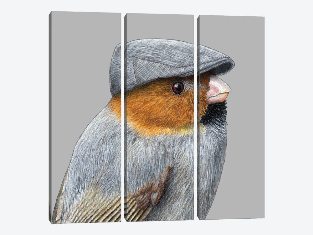 Short-Tailed Parrotbill by Mikhail Vedernikov 3-piece Canvas Art