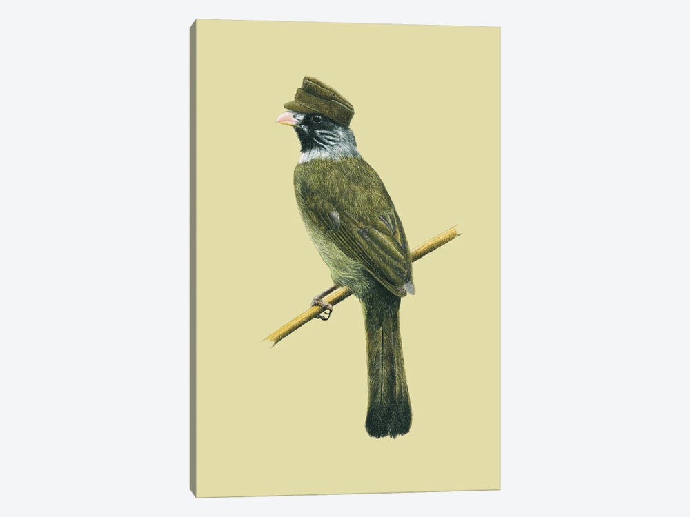 Collared Finchbill by Mikhail Vedernikov 1-piece Canvas Art
