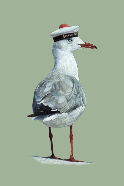 Grey-Headed Gull by Mikhail Vedernikov wall art