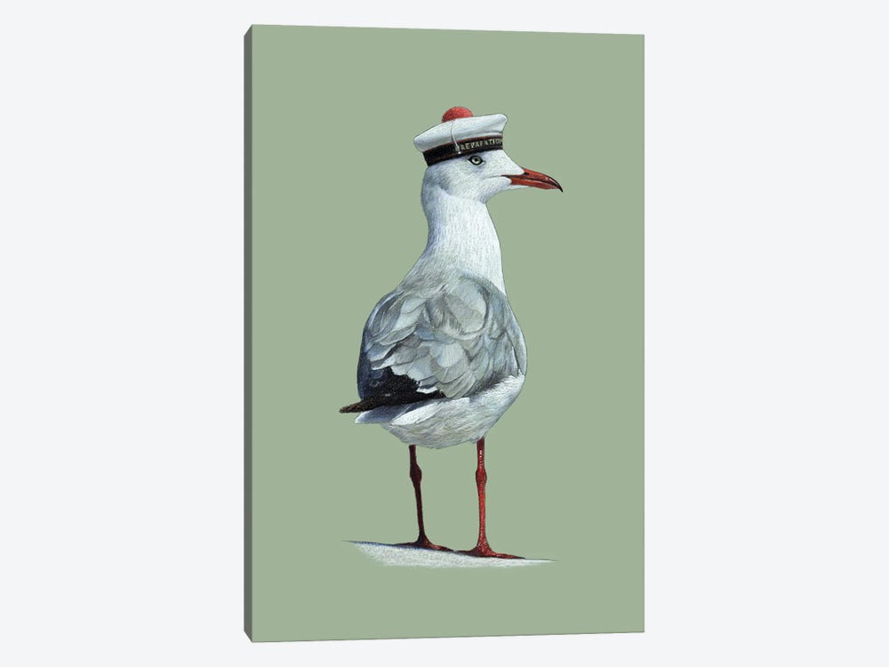 Grey-Headed Gull by Mikhail Vedernikov 1-piece Canvas Art Print