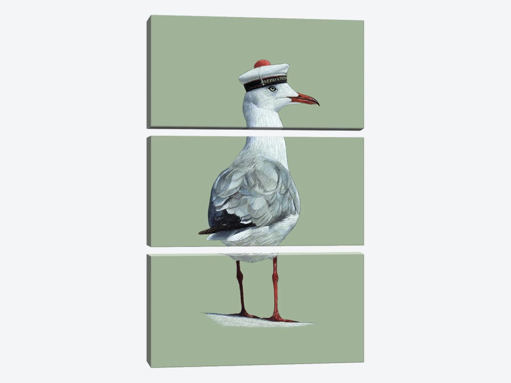 Grey-Headed Gull by Mikhail Vedernikov 3-piece Canvas Art Print