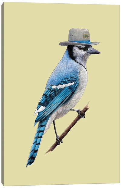 Blue Jay II Canvas Art Print - Hat Art