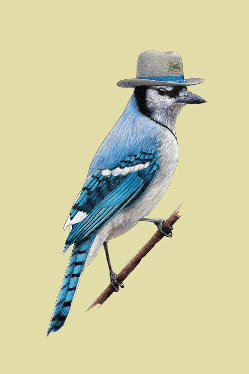 Blue Jay II by Mikhail Vedernikov wall art