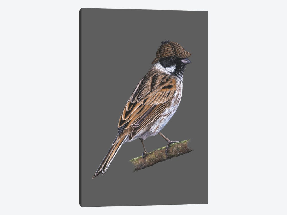 Common Reed Bunting by Mikhail Vedernikov 1-piece Canvas Art