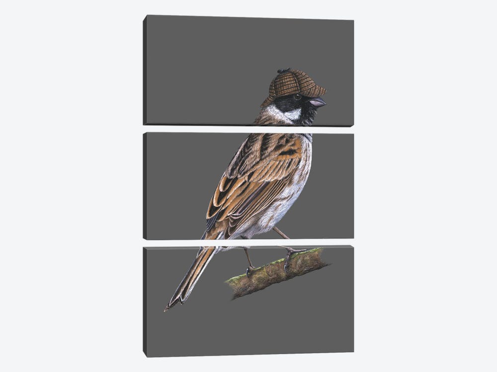Common Reed Bunting by Mikhail Vedernikov 3-piece Canvas Art