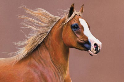 Arab by Mikhail Vedernikov framed wall art