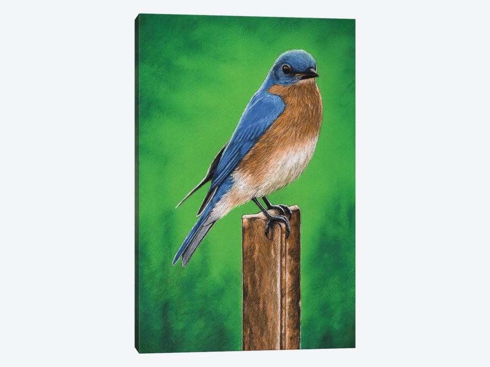 Eastern Bluebird by Mikhail Vedernikov 1-piece Canvas Art