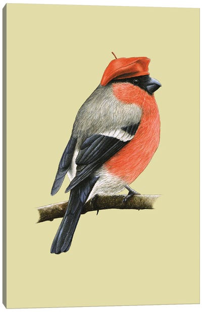 Eurasian Bullfinch Canvas Art Print - Mikhail Vedernikov