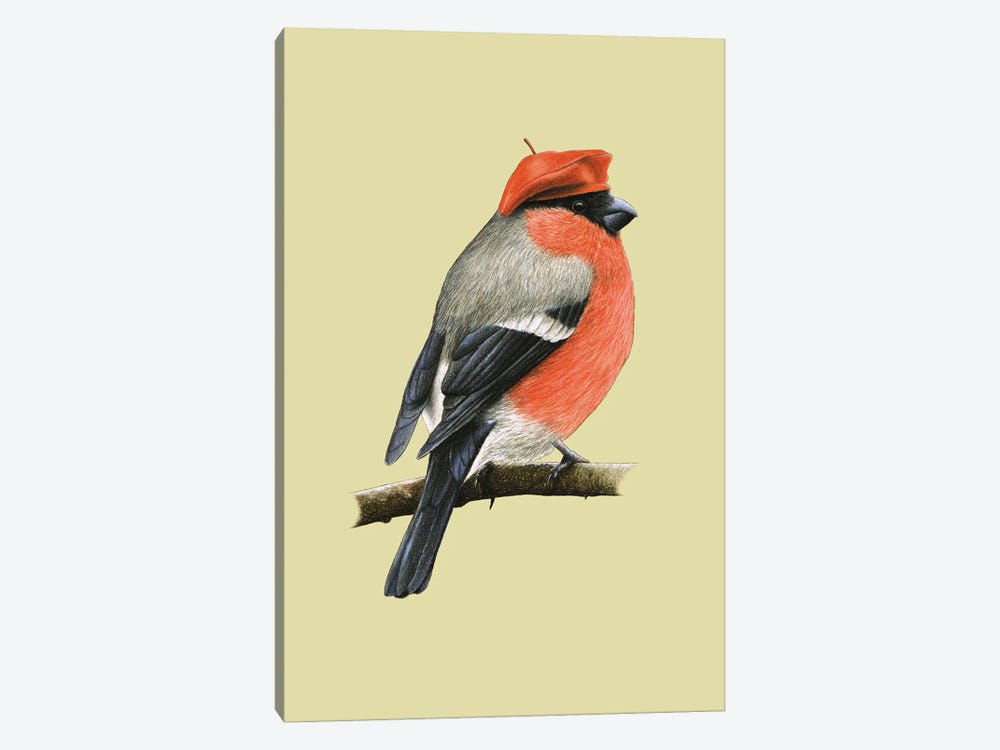 Eurasian Bullfinch by Mikhail Vedernikov 1-piece Canvas Print