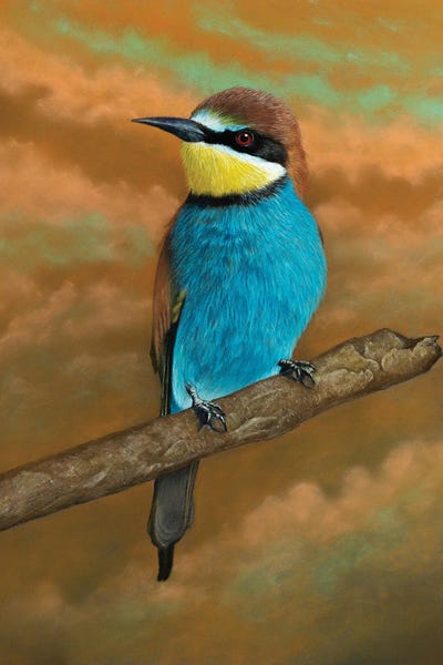 European Bee-Eater by Mikhail Vedernikov framed wall art