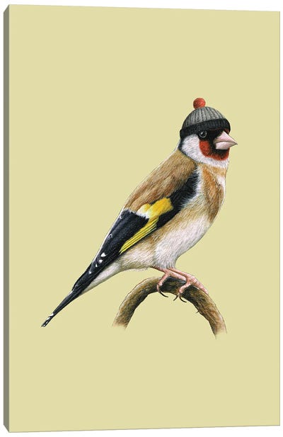 European Goldfinch Canvas Art Print - Finch Art