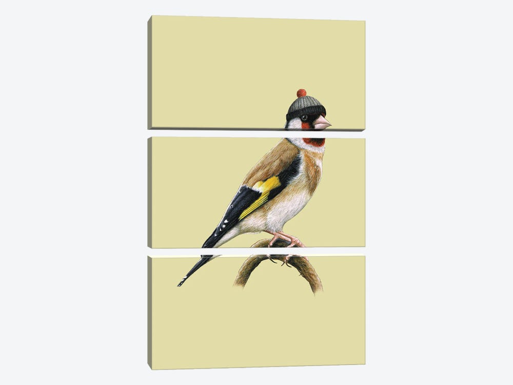 European Goldfinch by Mikhail Vedernikov 3-piece Canvas Art
