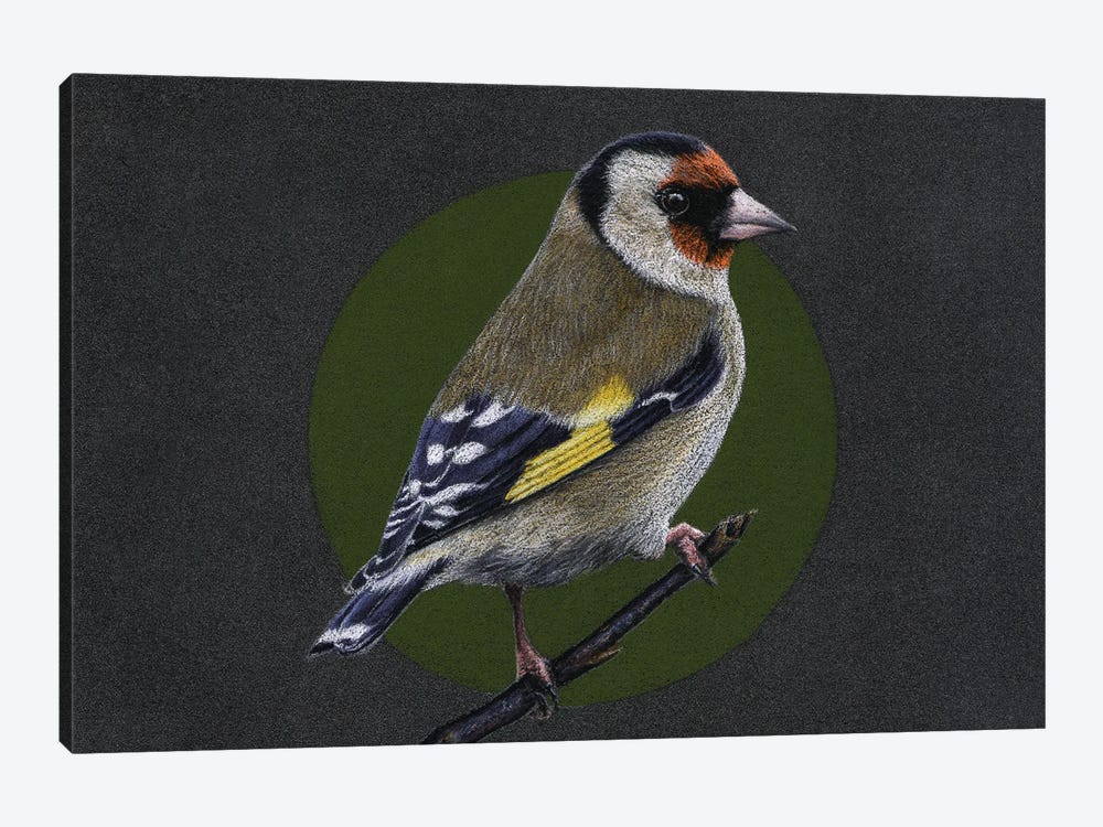 European Goldfinch#3 by Mikhail Vedernikov 1-piece Canvas Wall Art