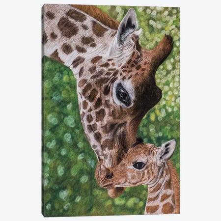 Giraffes Canvas Print #MIV41} by Mikhail Vedernikov Canvas Artwork