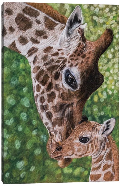 Giraffes Canvas Art Print - Mikhail Vedernikov