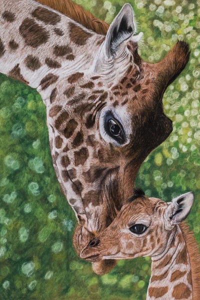 Mikhail Vedernikov: Giraffes by Mikhail Vedernikov