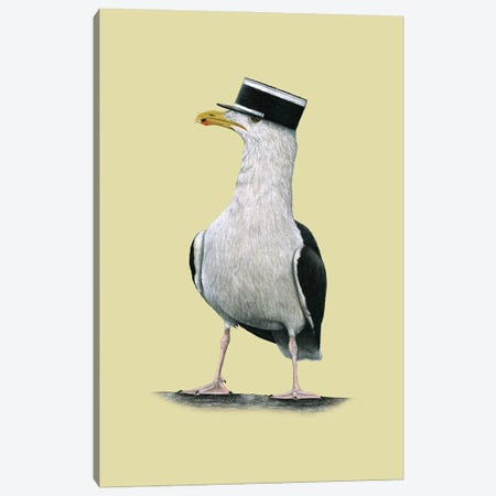 Great Black-Backed Gull Canvas Print #MIV44} by Mikhail Vedernikov Art Print