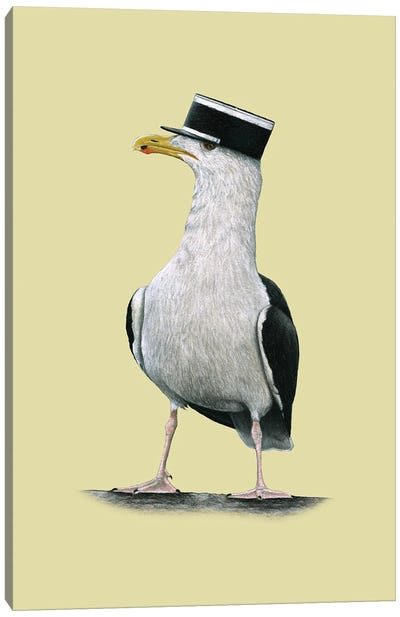 Great Black-Backed Gull Canvas Art Print - Gull & Seagull Art