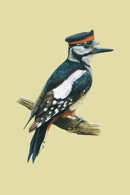 Great Spotted Woodpecker