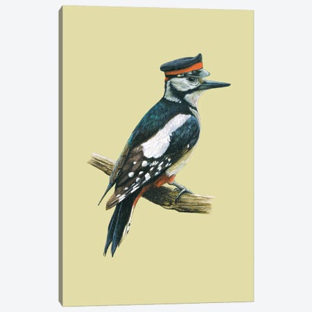Great Spotted Woodpecker Canvas Print #MIV45} by Mikhail Vedernikov Canvas Art Print