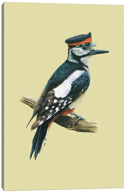 Great Spotted Woodpecker Canvas Art Print - Woodpecker Art