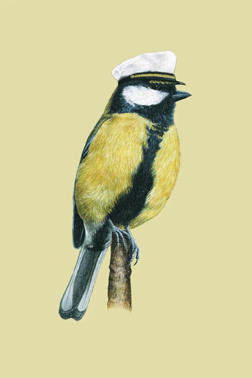 Great Tit by Mikhail Vedernikov wall art