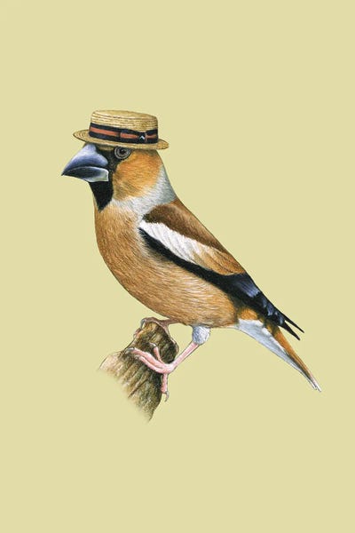 Hawfinch#2 by Mikhail Vedernikov metal wall art
